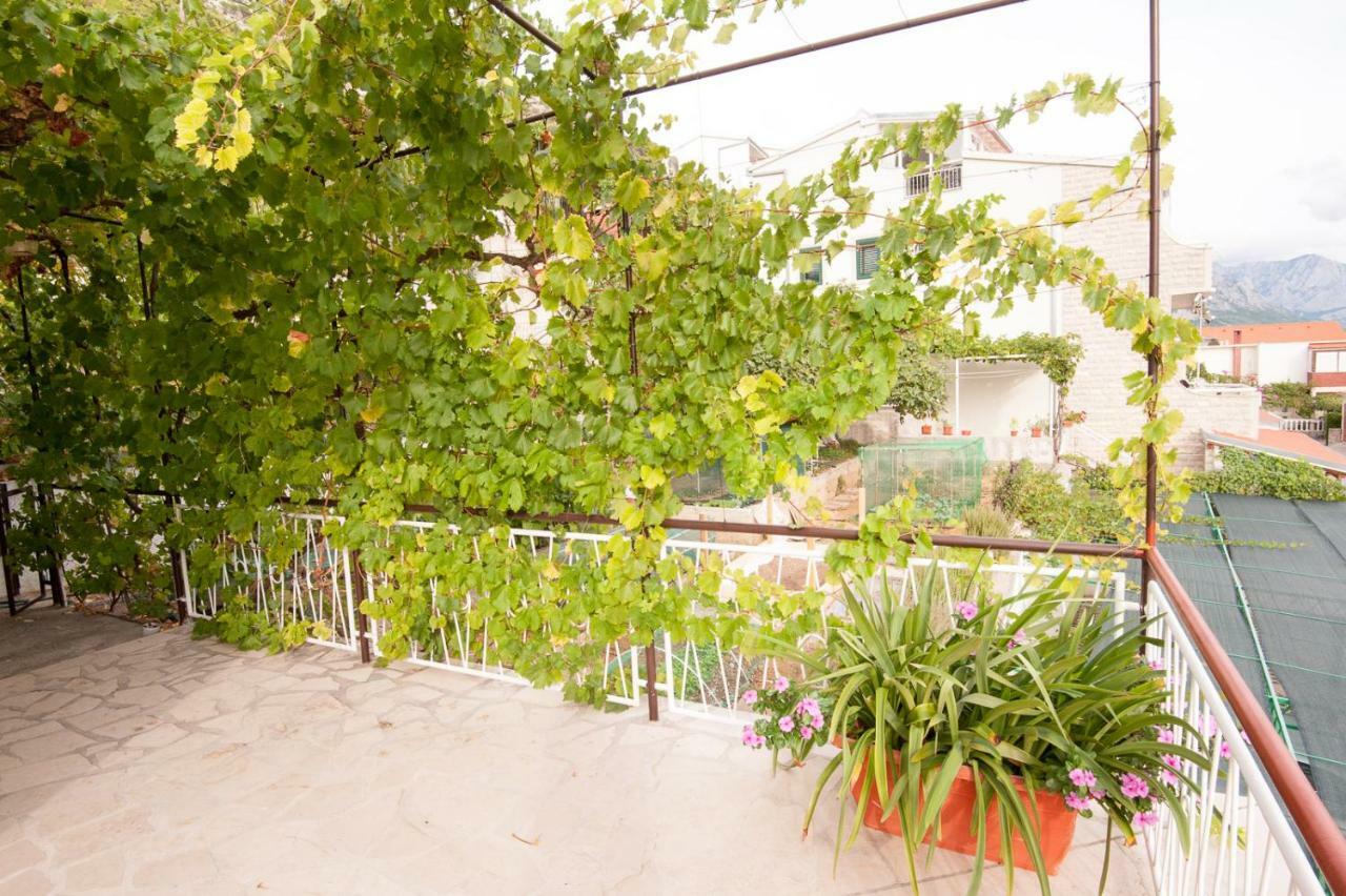 Apartmani Galija بيساك المظهر الخارجي الصورة